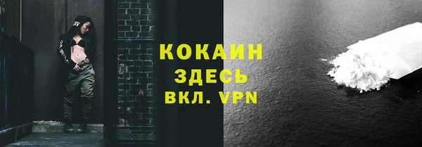 альфа пвп Новодвинск