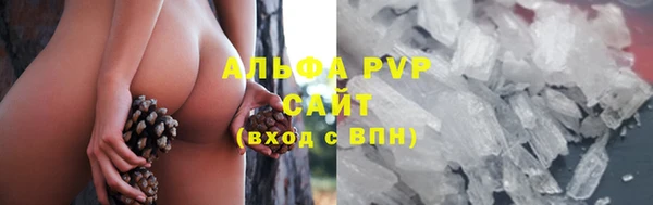 альфа пвп Новодвинск