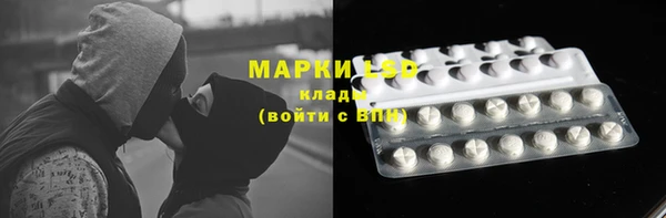 соль ск Новокубанск
