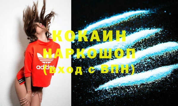 альфа пвп Новодвинск