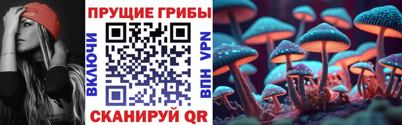 продажа наркотиков Трубчевск Галлюциногенные грибы мицелий