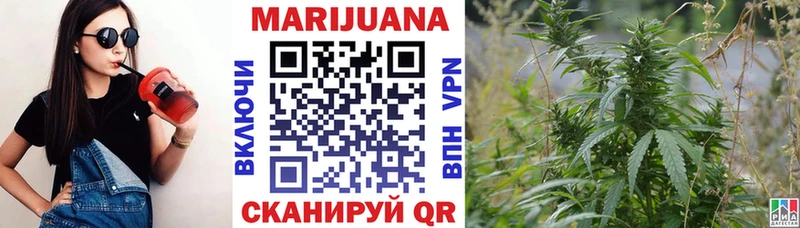 где купить наркоту  Трубчевск  Канабис OG Kush 
